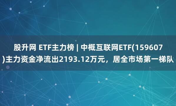股升网 ETF主力榜 | 中概互联网ETF(159607)主力资金净流出2193.12万元，居全市场第一梯队