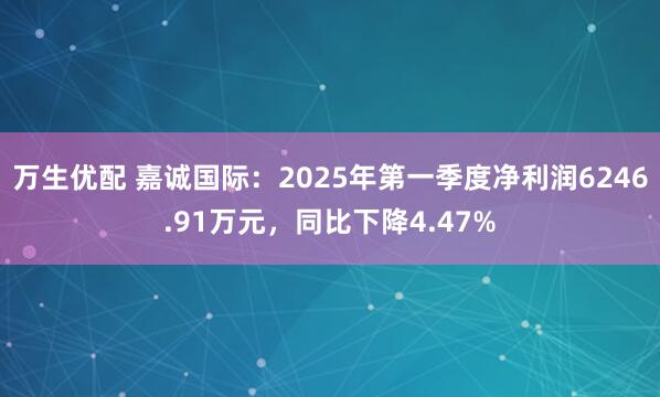 万生优配 嘉诚国际：2025年第一季度净利润6246.91万元，同比下降4.47%