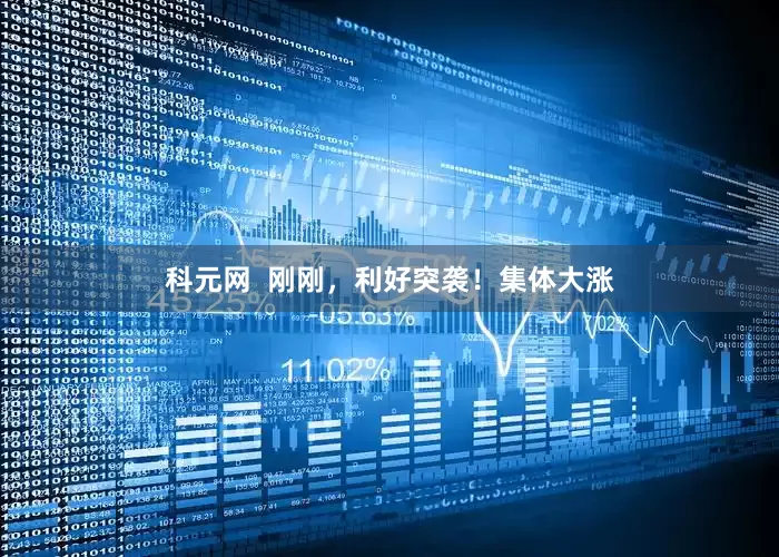 科元网  刚刚，利好突袭！集体大涨