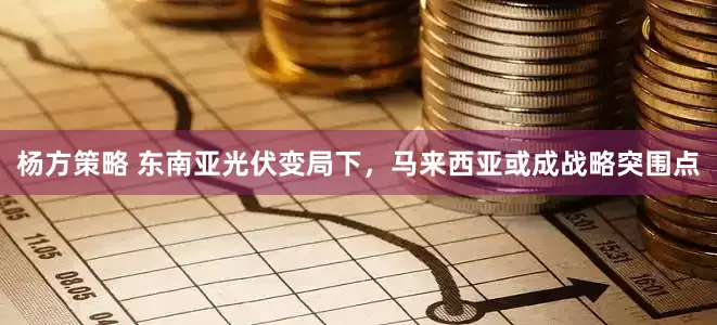 杨方策略 东南亚光伏变局下，马来西亚或成战略突围点