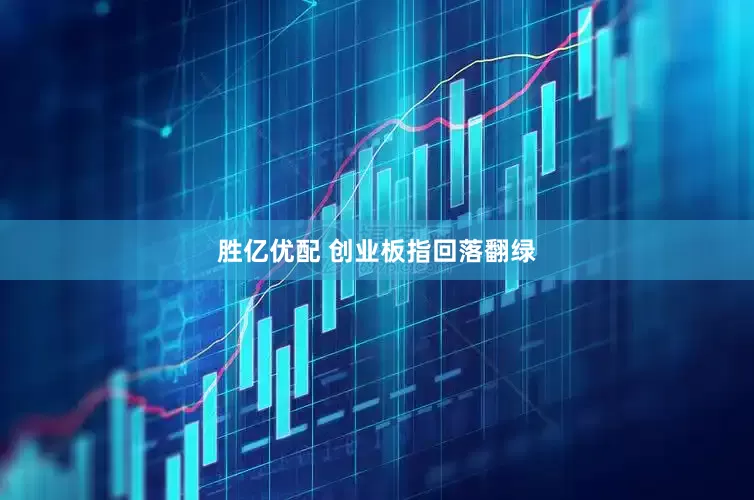 胜亿优配 创业板指回落翻绿